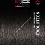 2008-07_prospekt_mitsubishi_lancer-evolution.pdf